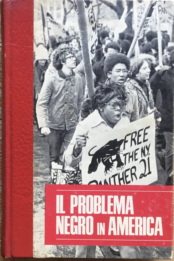 Il problema negro in America