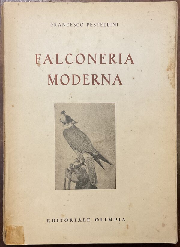 Falconeria moderna