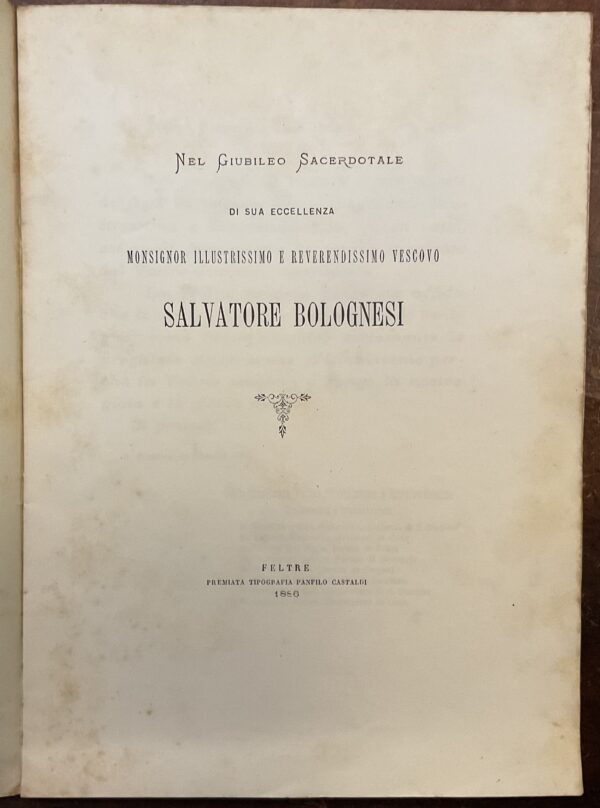 Nel giubileo sacerdotale di sua eccellenza, Monsignor illustrissimo e reverendissimo Vescovo Salvatore Bolognesi - immagine 2